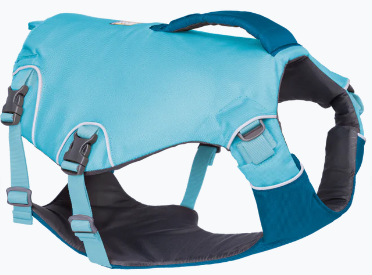 dog's life jacket